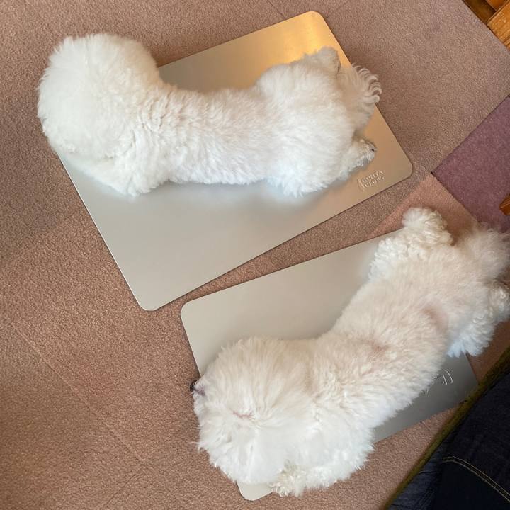 528ba5e0 7b81 40c9 8e35 8bd7d1b025ef 1632784355552