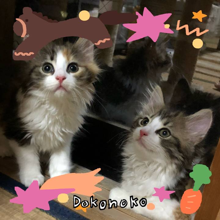 528bd346 6a98 4475 8e56 2fcb67d0275d 1772009064590