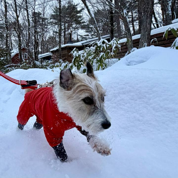 528be351 50cc 4e36 9531 2314c7665e58 1769694946880