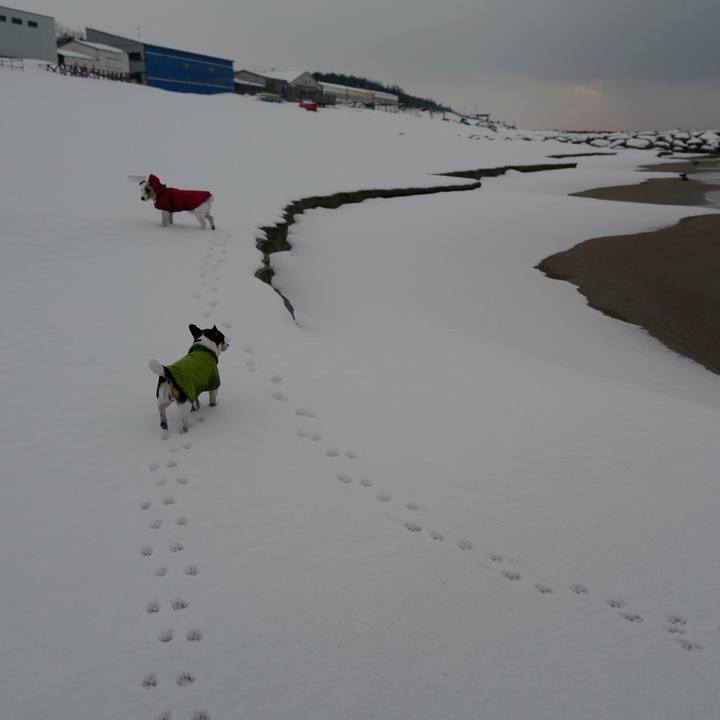 528bebea c250 4b6d b2b3 36513d11ed7c 1518239429605