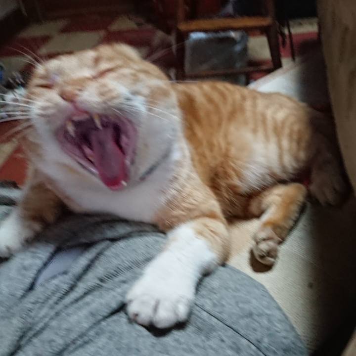 528c0ffb d764 4c15 a18e 29b030c74160 1576390453637