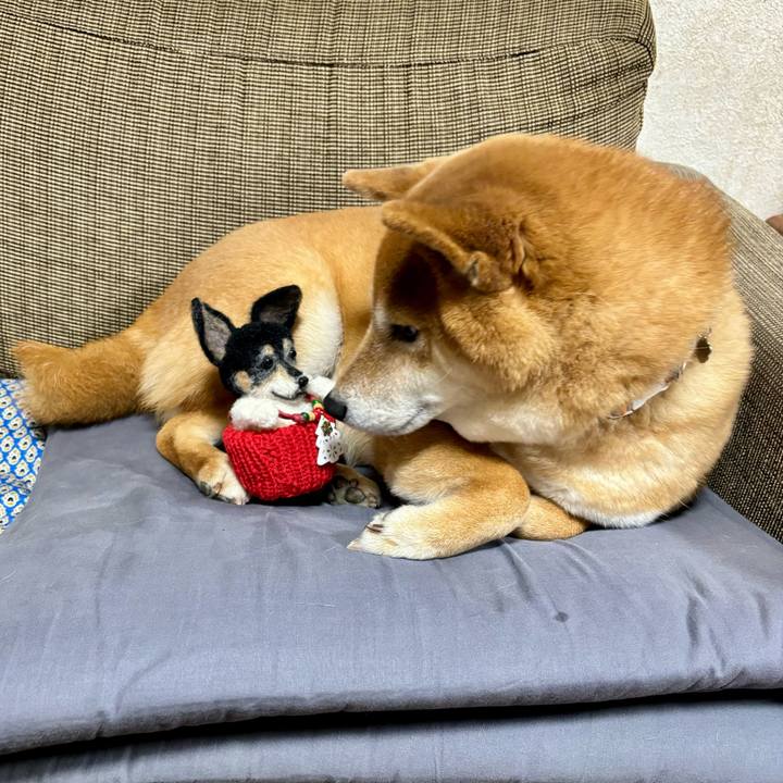 528c168b 799a 42b4 ab7f 164ac5cf1c3c 1703304836696