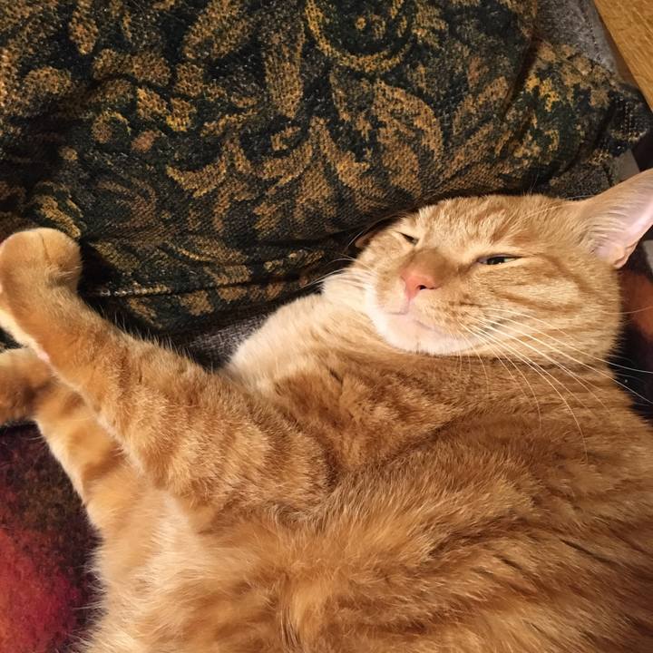 528c4dca 760c 412d a7ed ad4b4573946d 1576733650508