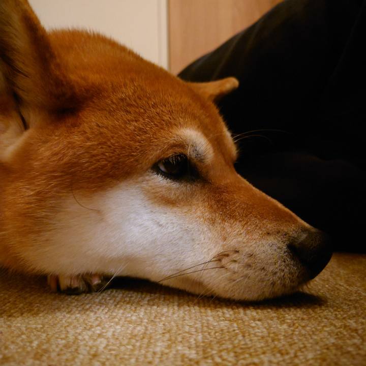 528c79df 5ed3 45f9 bb37 c475ba17de7c 1764066141091