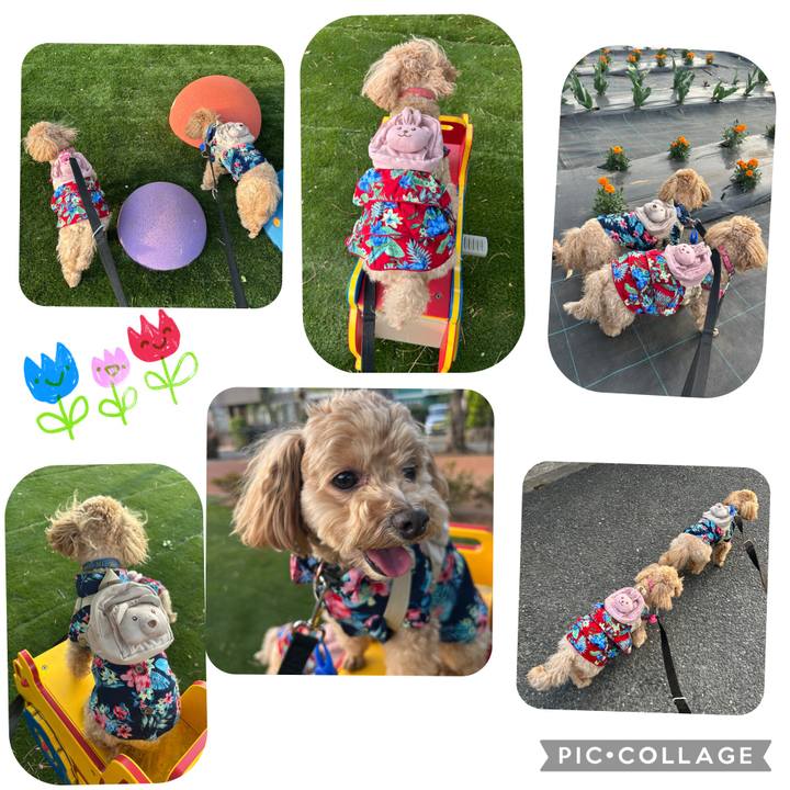 528cb71d 9e08 4116 af68 087bafa69dcb 1745057733498