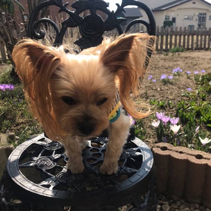 528d0e4d ea59 4cbb 81c2 623d19dd77f3 1586251862455