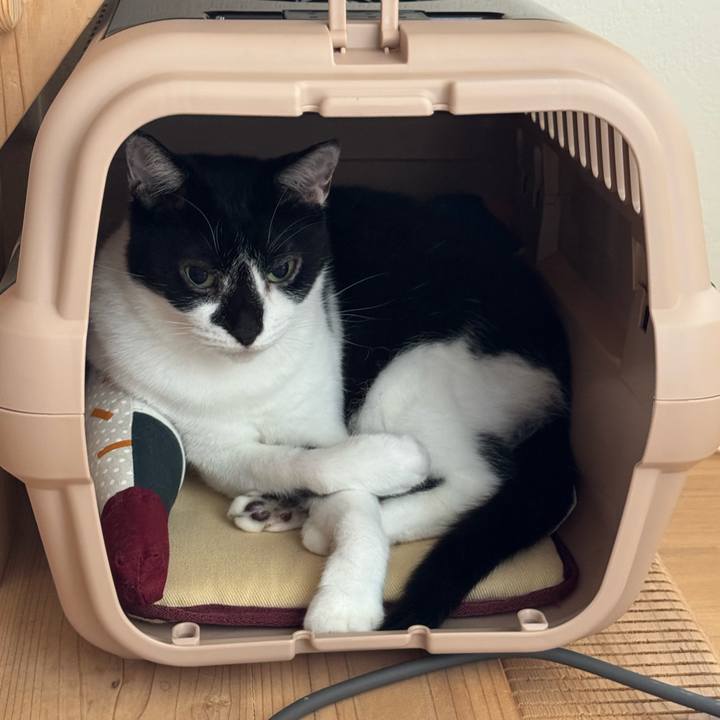 528d83f8 1469 4e04 a5e4 28abc4b428d0 1756697066198