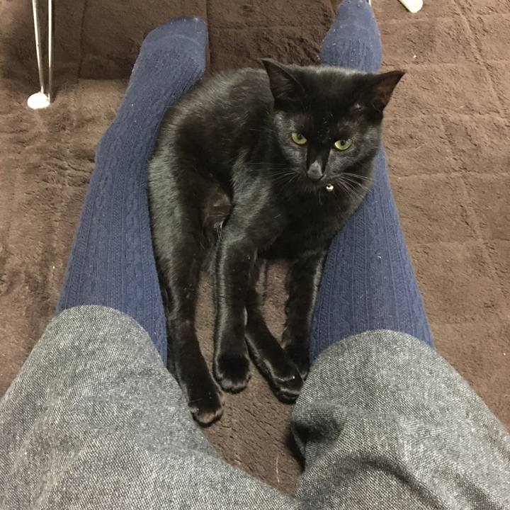 528dad9a 2b31 4d55 bdbd 27b0e4e9fb90 1508481872245