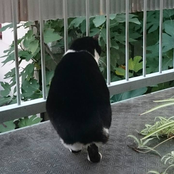 528dc090 fcf6 41d7 a22c d7d645e4df03 1511306130650