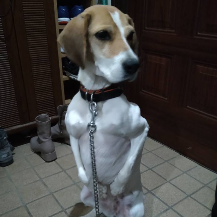 528dd84f 1749 4981 94e3 63cac63397b9 1638105808034