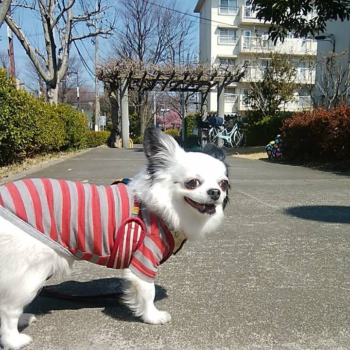 528e32a6 7864 41c8 9f7d 5ad22eae1296 1520152729727