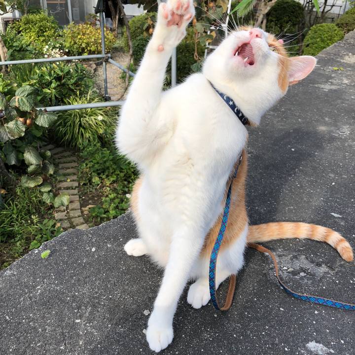 528e3c40 ebbf 4c64 a6a7 e4c90c5e1b84 1538562283889