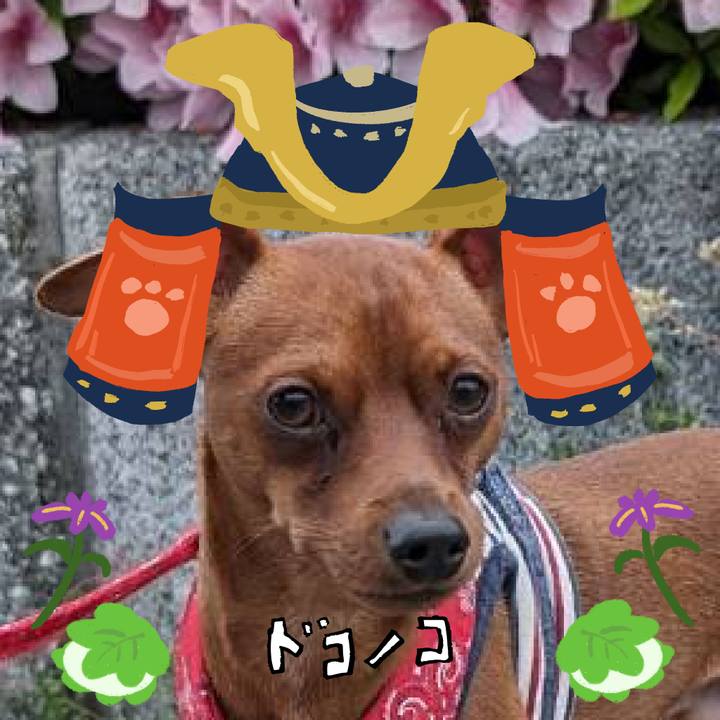 528e5203 adcd 4f26 b1e2 55e8d5ea122d 1715225496348