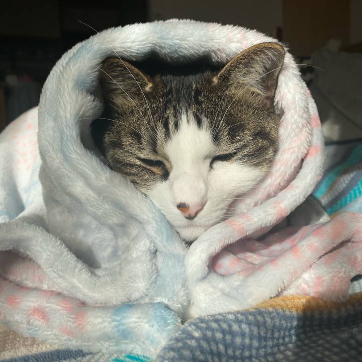 528e74b0 6faf 40af b5b8 7295fde2732d 1610067490213