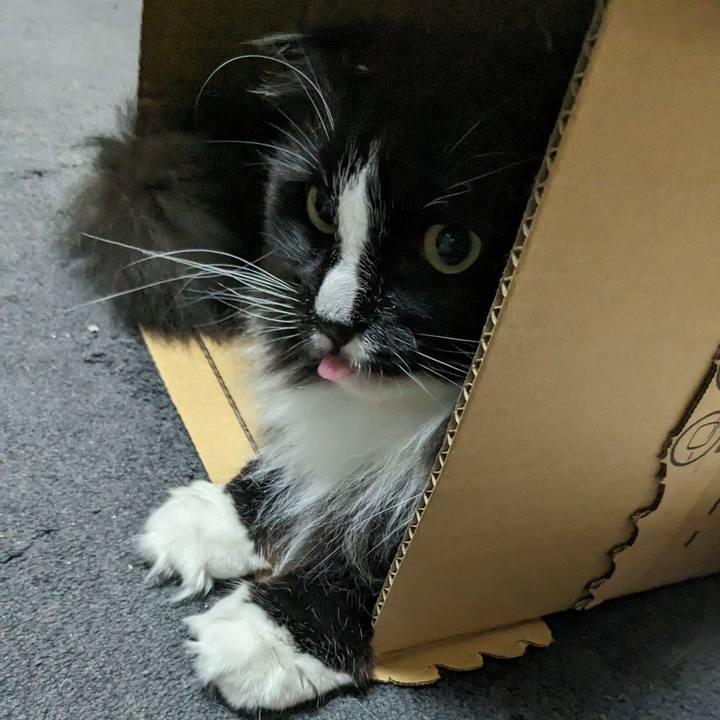 528e7959 3838 4f4f a98f 60bfa0bfb3b6 1716844745040