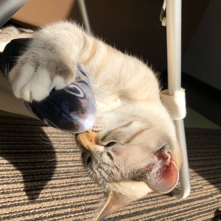 528ea69e 0317 487e 9c74 83bfcb8e759a 1607937605515