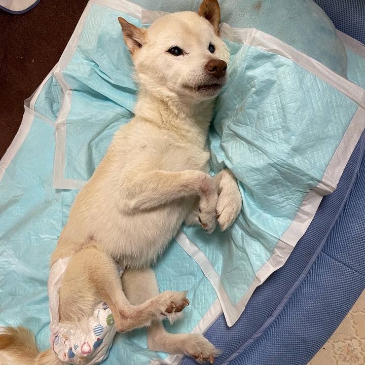 528effad 17df 43d8 9cd5 e099e115ebdc 1680588140371