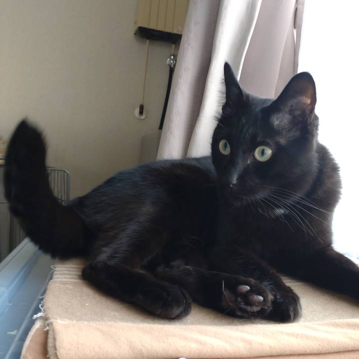 528f161f 28de 410c b7e0 11184deb6549 1666411059195