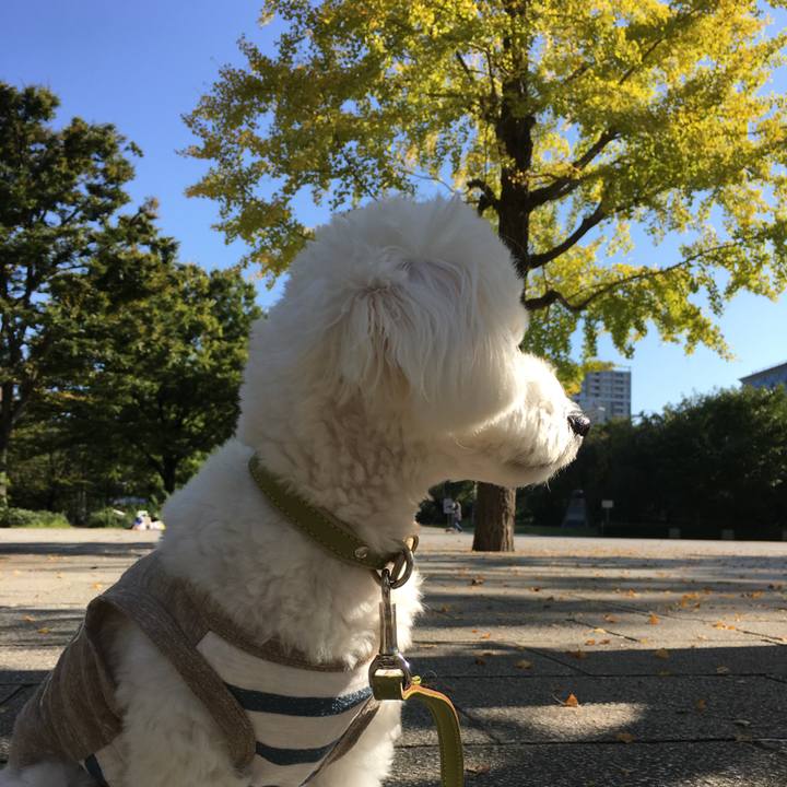 528f285e 8de4 4539 8203 c1d8f33c5188 1508287582513