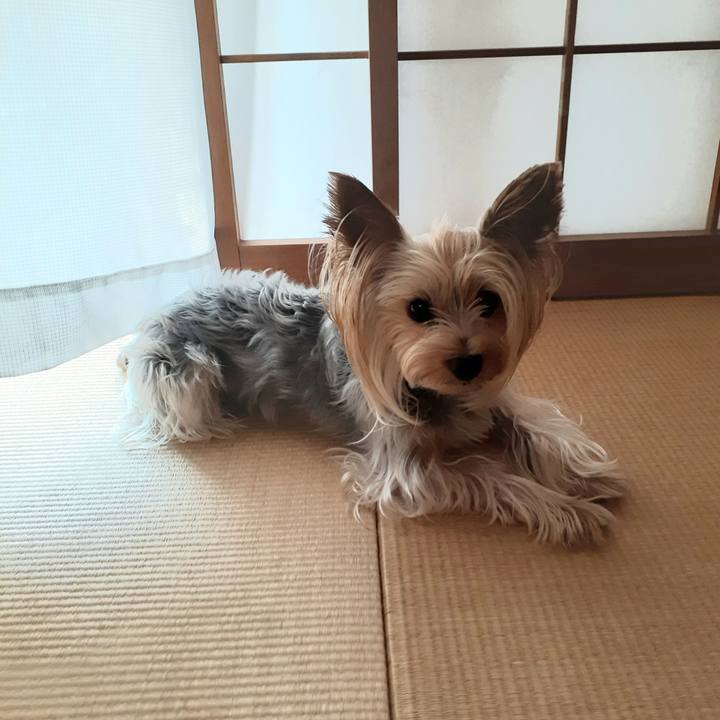 528f4a19 dadf 43fb 9bed 236a054a8956 1563946598736