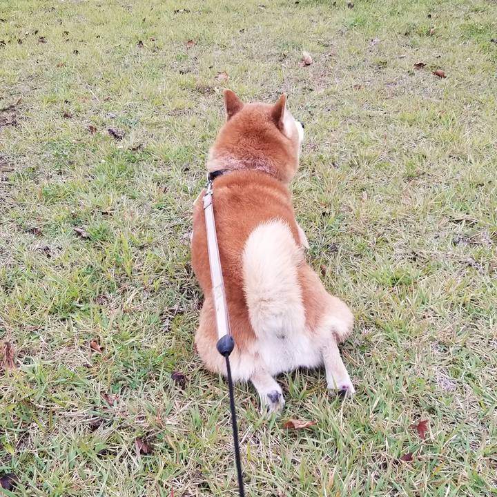 528f4e84 6305 4e9c 8aab d24e7bc18fe0 1665905179524