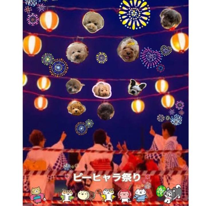 528f4f72 bd18 41fa ae0a 780367e33c35 1565847192844