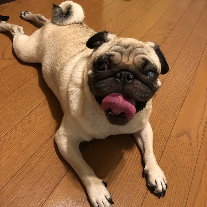 528f608b 0dd3 46fc 8f8d ee00658121db 1537419211424