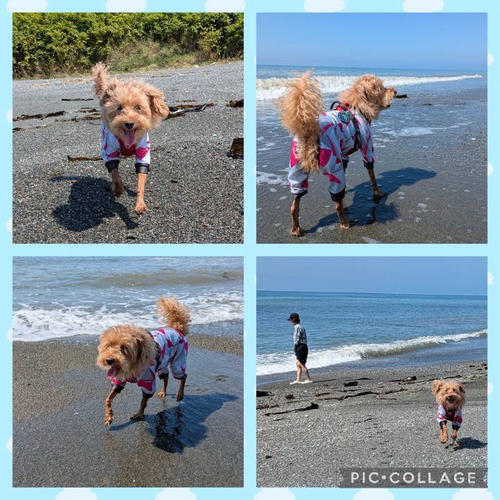 528f91d2 843e 489e a654 07ce0ec9cf85 1755036561805