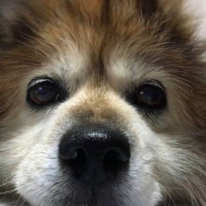 528f9b13 ef93 497c 9d8d ced6a35c0d1d 1592828686175