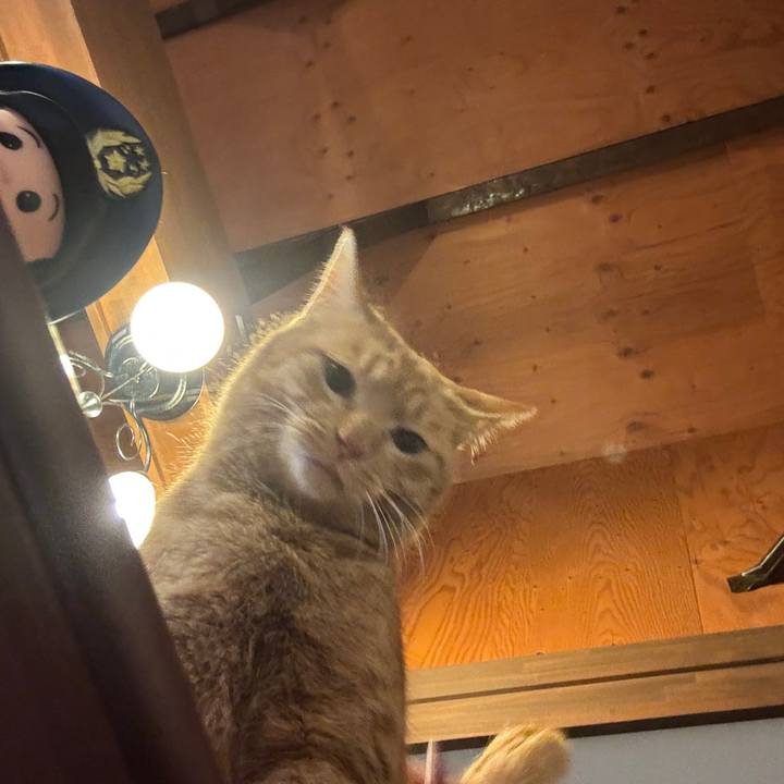 528fc3ed 67cc 454e 820c 151277c2ae0f 1770788989573