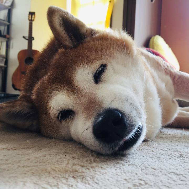 52901289 0b28 4774 9393 0e7e439976b6 1552715539935