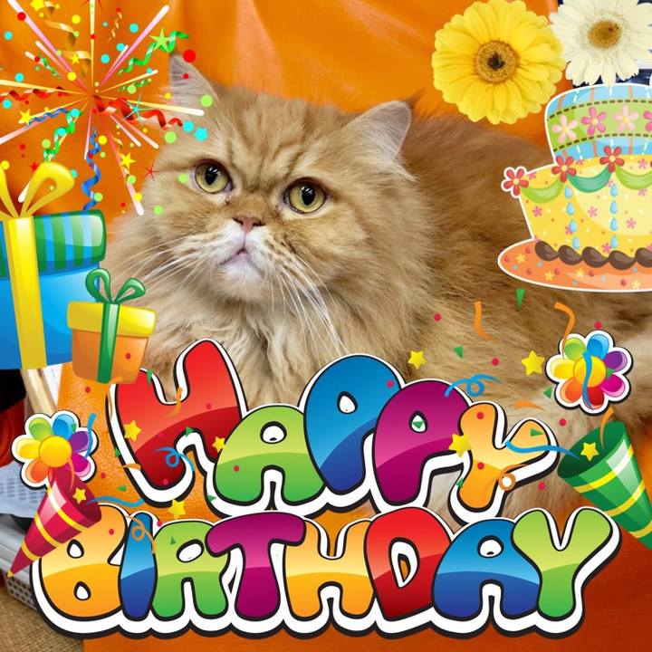 529013db 7fc8 411e bf5d 28a6ca70f806 1545177518089