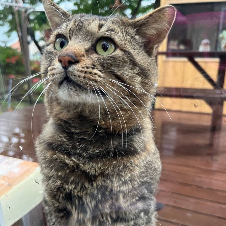 529021bb 958c 47ba 8f22 a45f86d18003 1749677853107