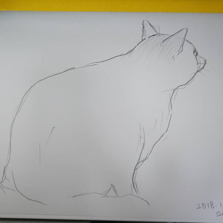 52908fc1 b9ab 405c 8045 d652a3a88957 1543229024768