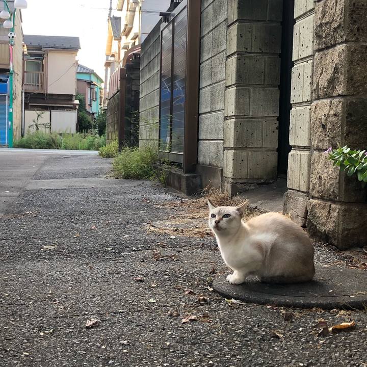 529095e2 64ee 4581 825c 06648068ea8d 1603574977244