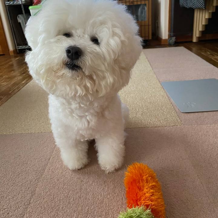 5290a8e0 7dd5 4889 a5be 634d57215015 1631777478772