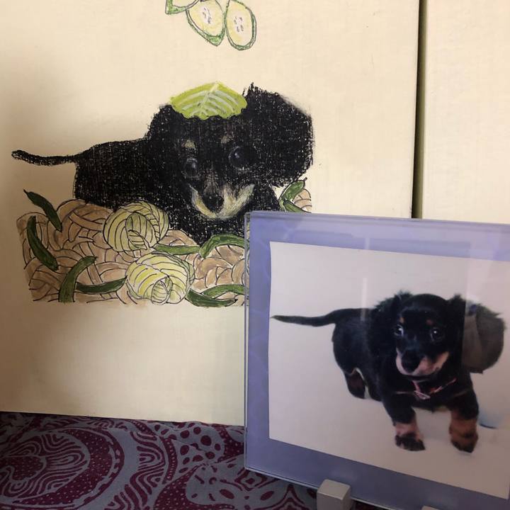 52910237 d9d0 4f36 80cd e91feeb8c93d 1615814824611