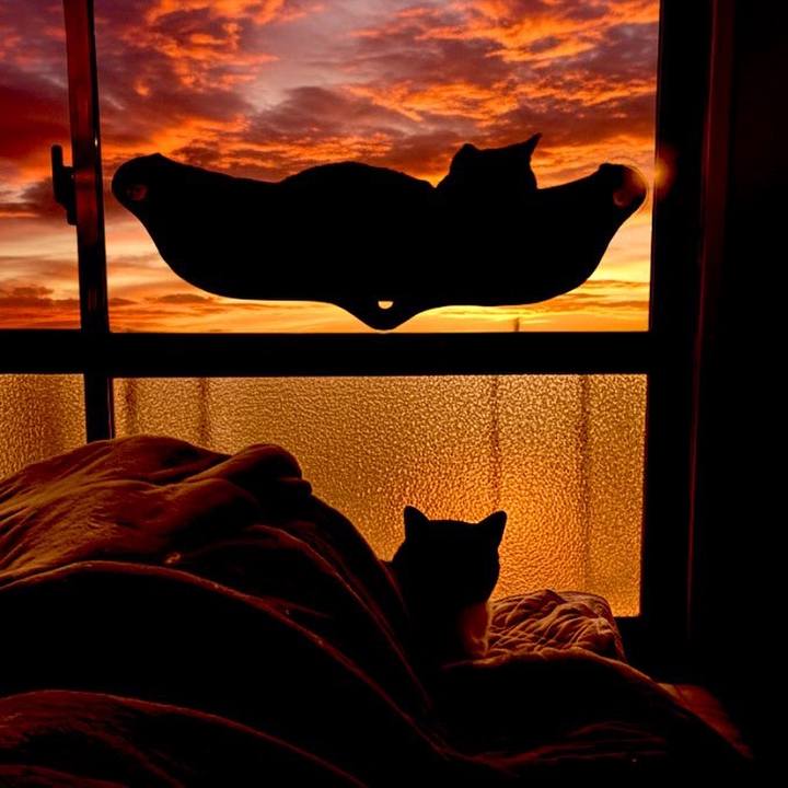 52911438 7063 4f40 a9a6 aa540c46c14b 1764597526613