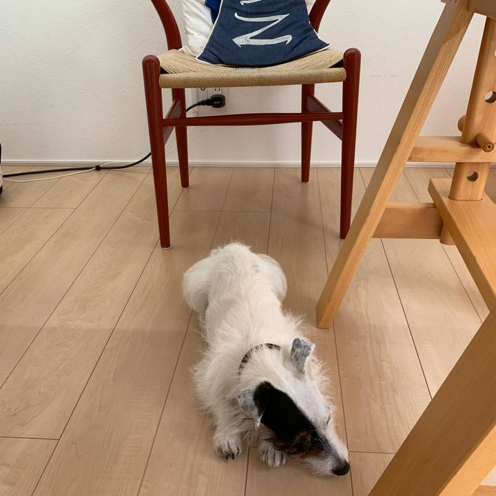 5291336c d68a 4a20 a849 91e168fdb23b 1657247041810