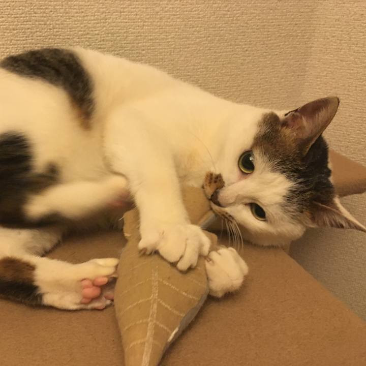 5291456b d417 4055 8170 0c505108f72b 1549760236627