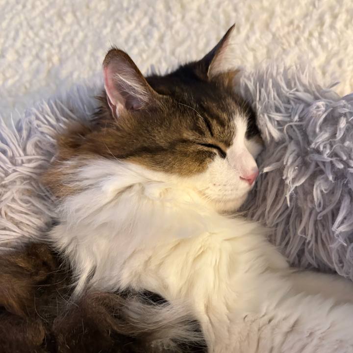 5291772b 2d8a 4cef bf38 043796bad754 1768353646422