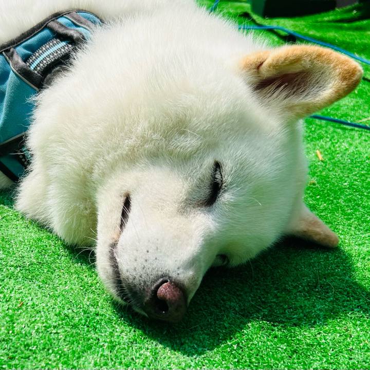 529189e4 f412 422b b76f afc48e556195 1721192695280