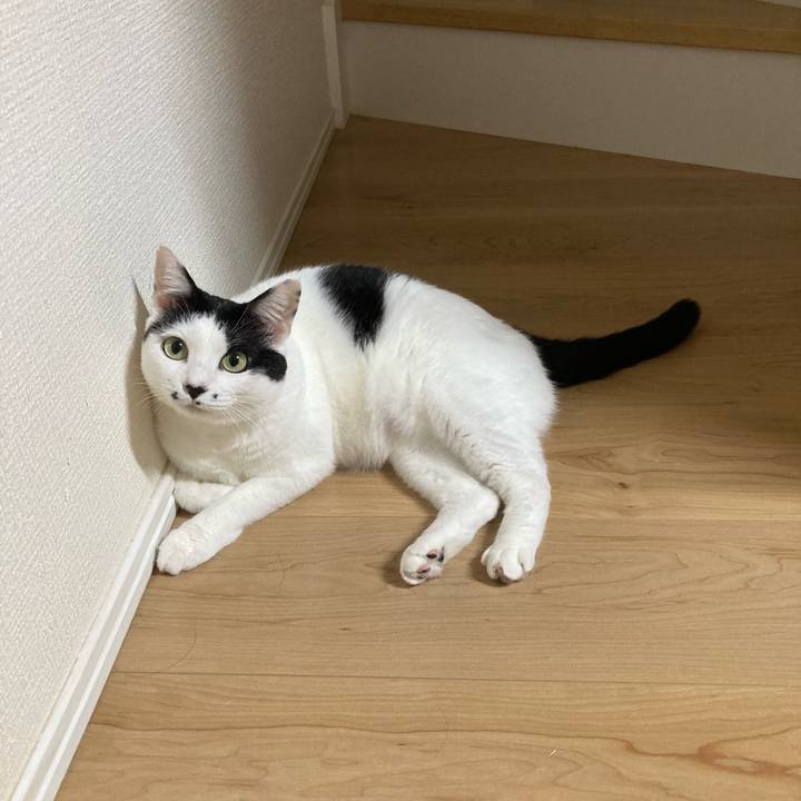 5291d958 54cd 4db0 a6fa 0e1d73c62107 1757621866766