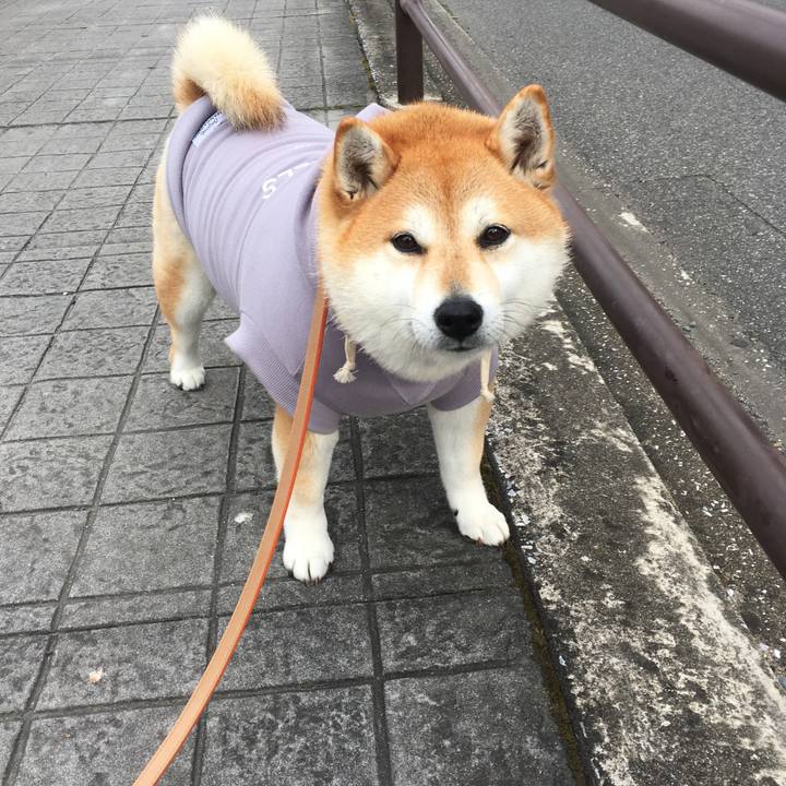 5291e6f2 3616 4cd7 94dd 14f9a3deaafb 1577332773005