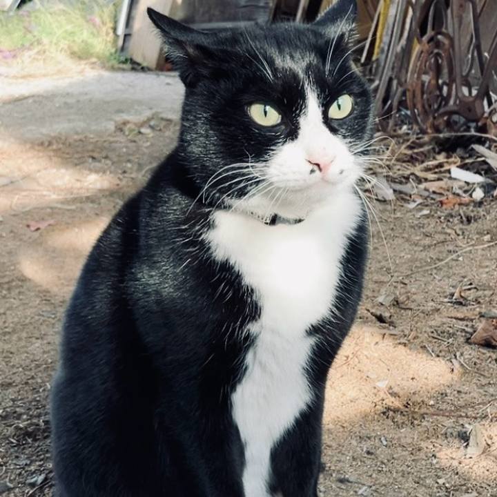 529219d9 59f4 40e3 9a82 5e7ecfb04b77 1734061481213