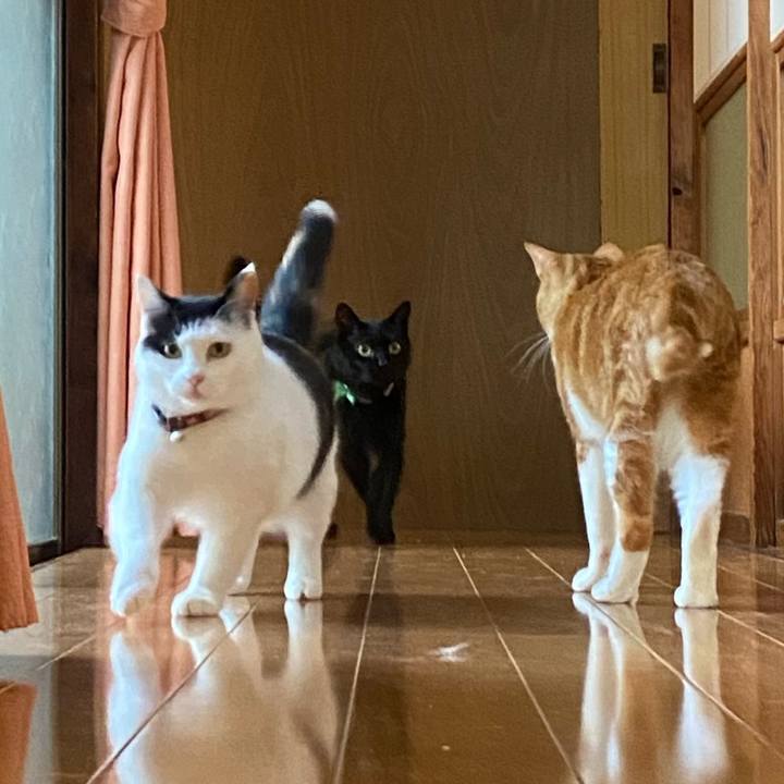 52926e4c 2320 44d3 84d6 58080c0d227a 1650786794423