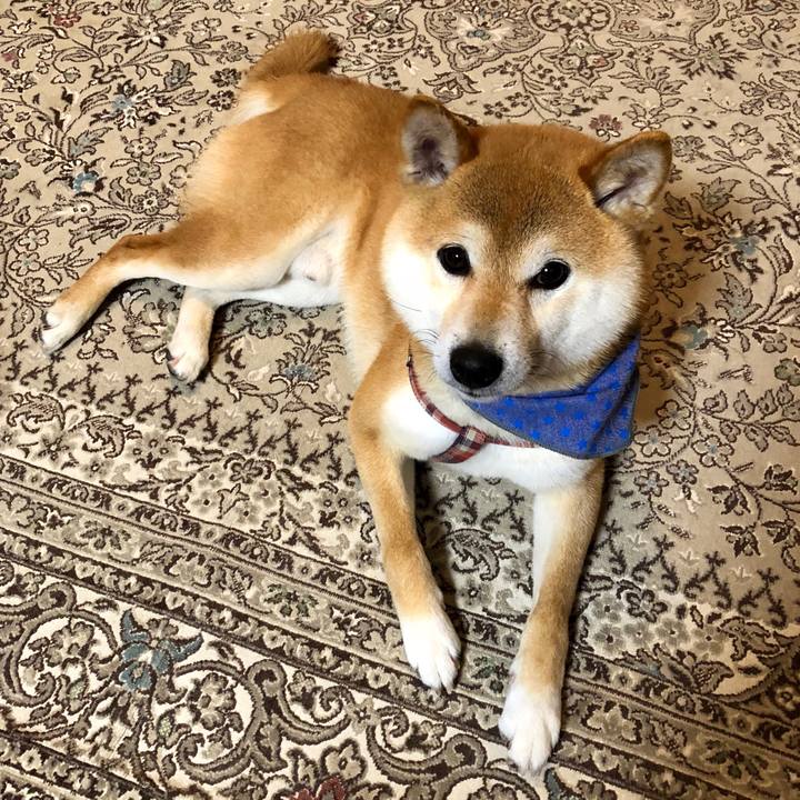 52927642 cc43 4ef6 a99d 996e5aa9fb8c 1527766089534