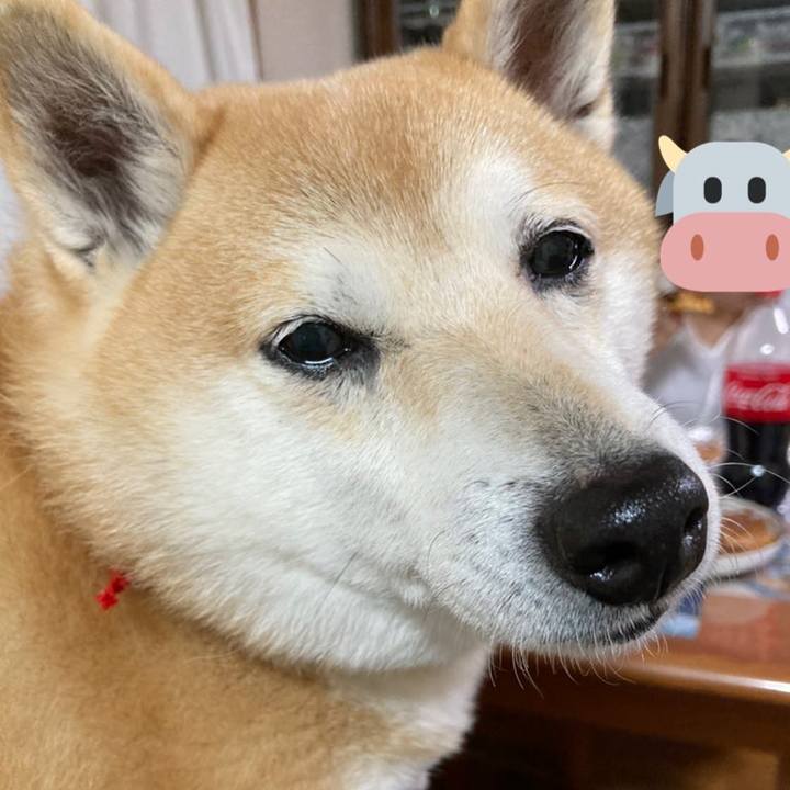 5292bbf5 57df 4010 930a cb4943fdf6d4 1616759422593