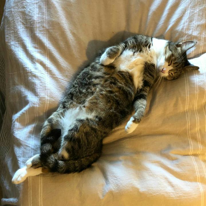 5292de25 554c 4acf 9f9d d558064b06db 1597811754372