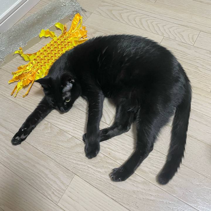 5292ff28 8443 49ec bf6b f26cc06c879e 1702733368258